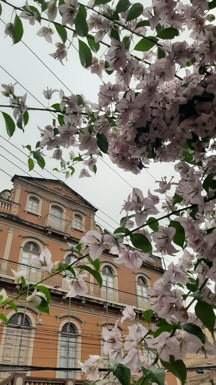 Um Dia de Passeio Cultural pela História de Novo Hamburgo