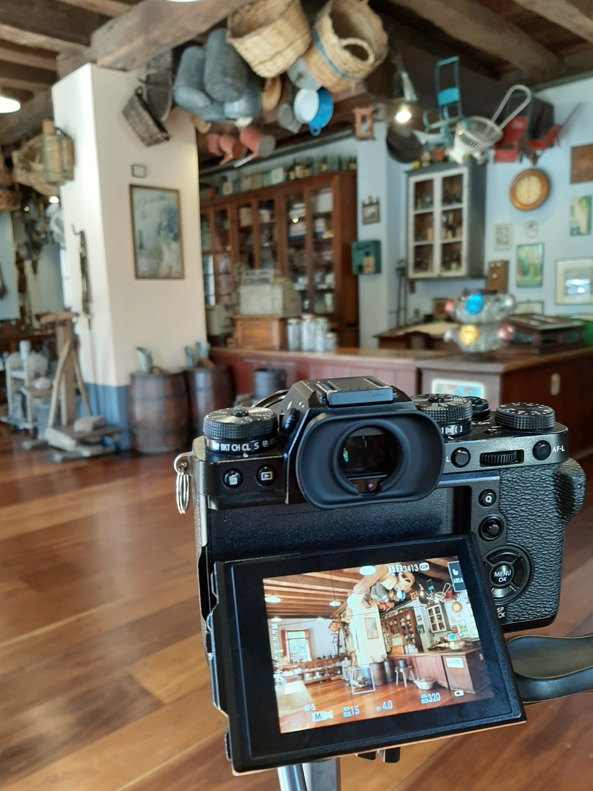 Fundação Scheffel, Movimento Casa Velha e Instituto de Belas Artes (IBA) de Novo Hamburgo - Um Legado de Arte e Cultura para Novo Hamburgo e Região